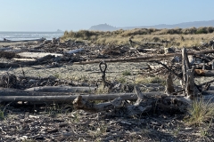 Clam Beach