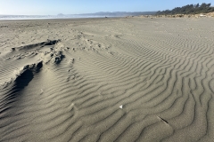 Clam Beach