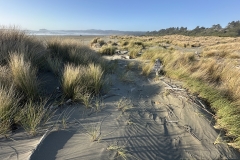 Clam Beach