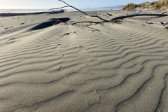 Clam Beach
