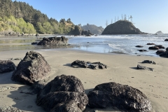 College Cove