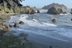 College Cove