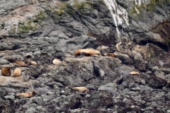 turtle-rocks-2
