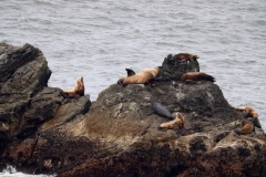 turtle-rocks-3