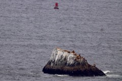 turtle-rocks-5