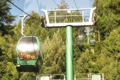 Gondola Ride at Trees of Mystery